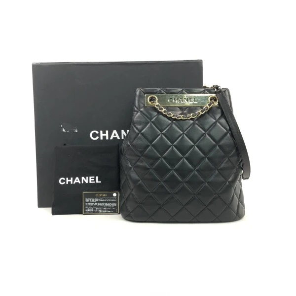 95新/香奈儿/妃鱼/单肩包/市场价32500/250217LT0039