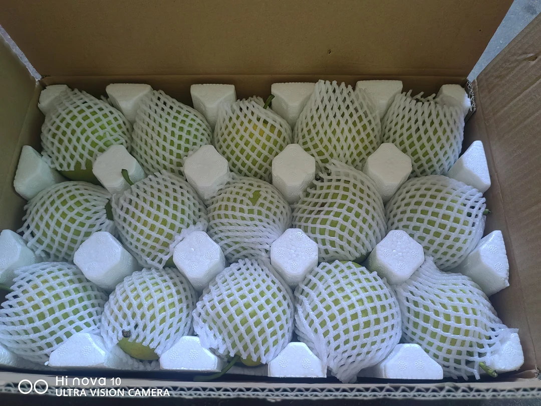 2025皇冠梨酥甜多汁农家肥净含量7.5斤以上15枚精品果坏果包赔