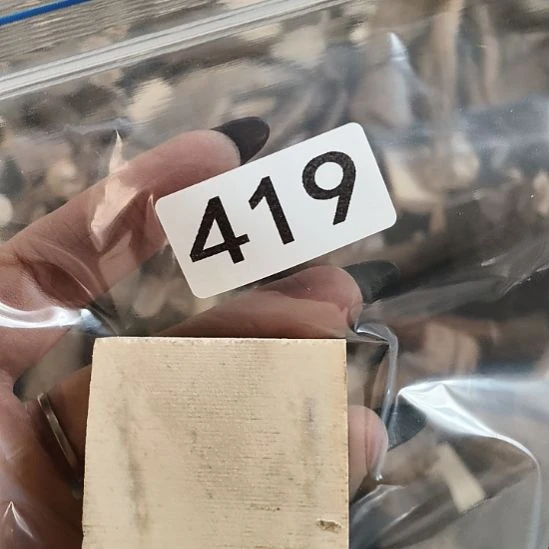 A***y鹿角鹿角鹿角鹿角鹿角鹿角