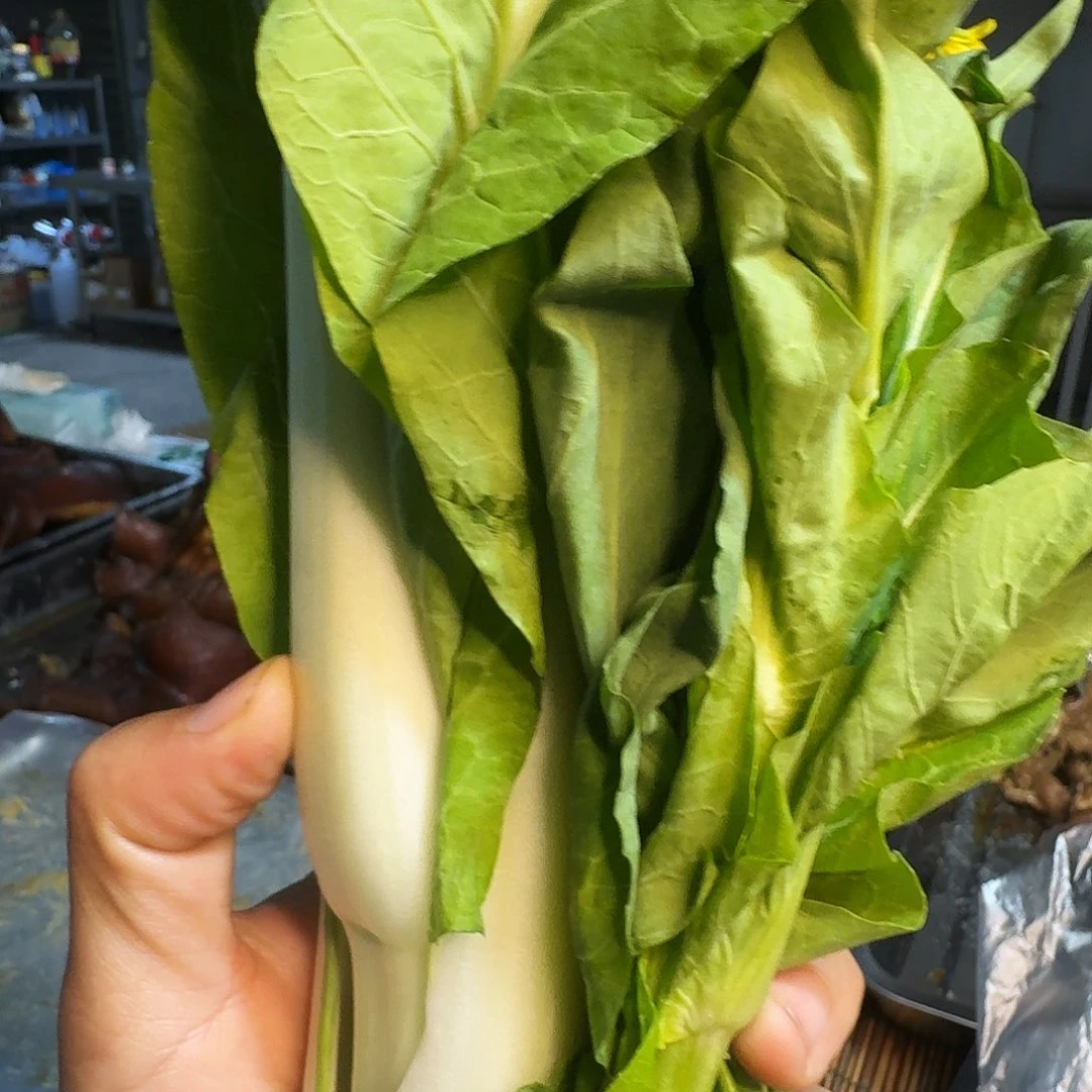 丫***丫白菜中国大陆青菜