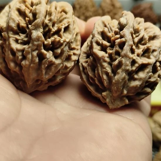 文玩核桃吊坠大楸核桃10号