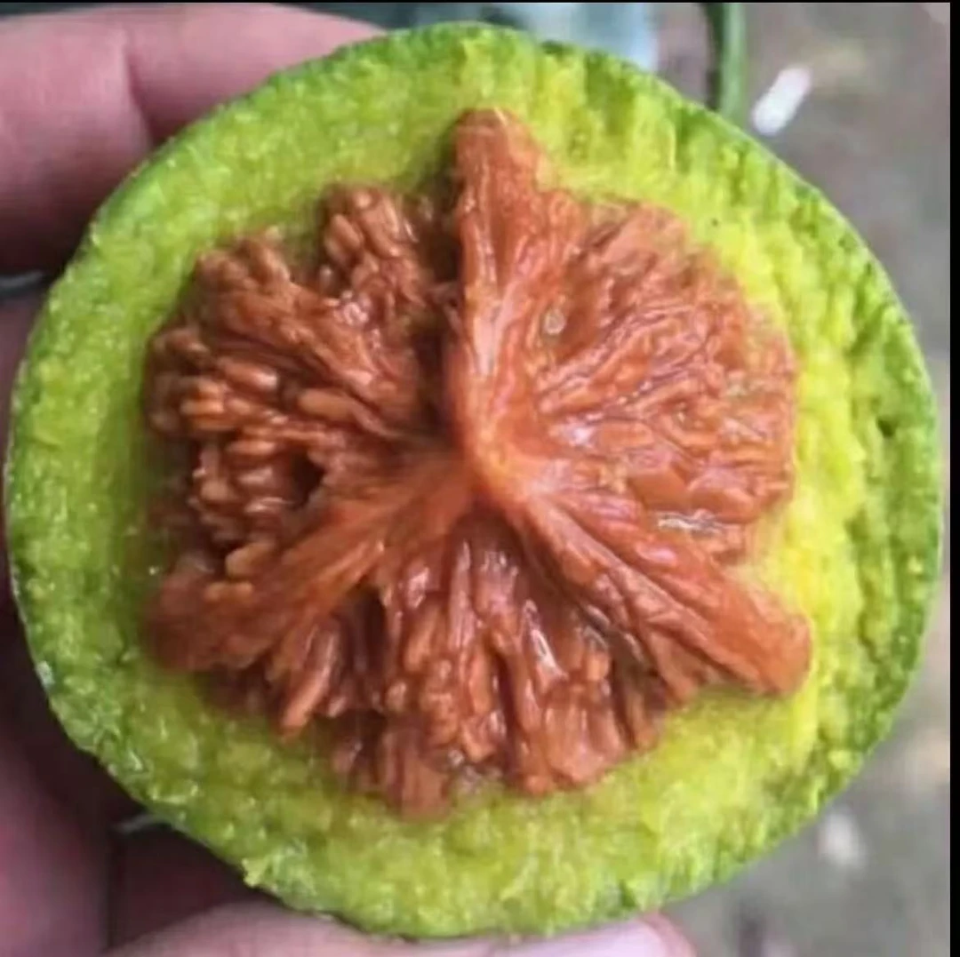 文玩核桃把件