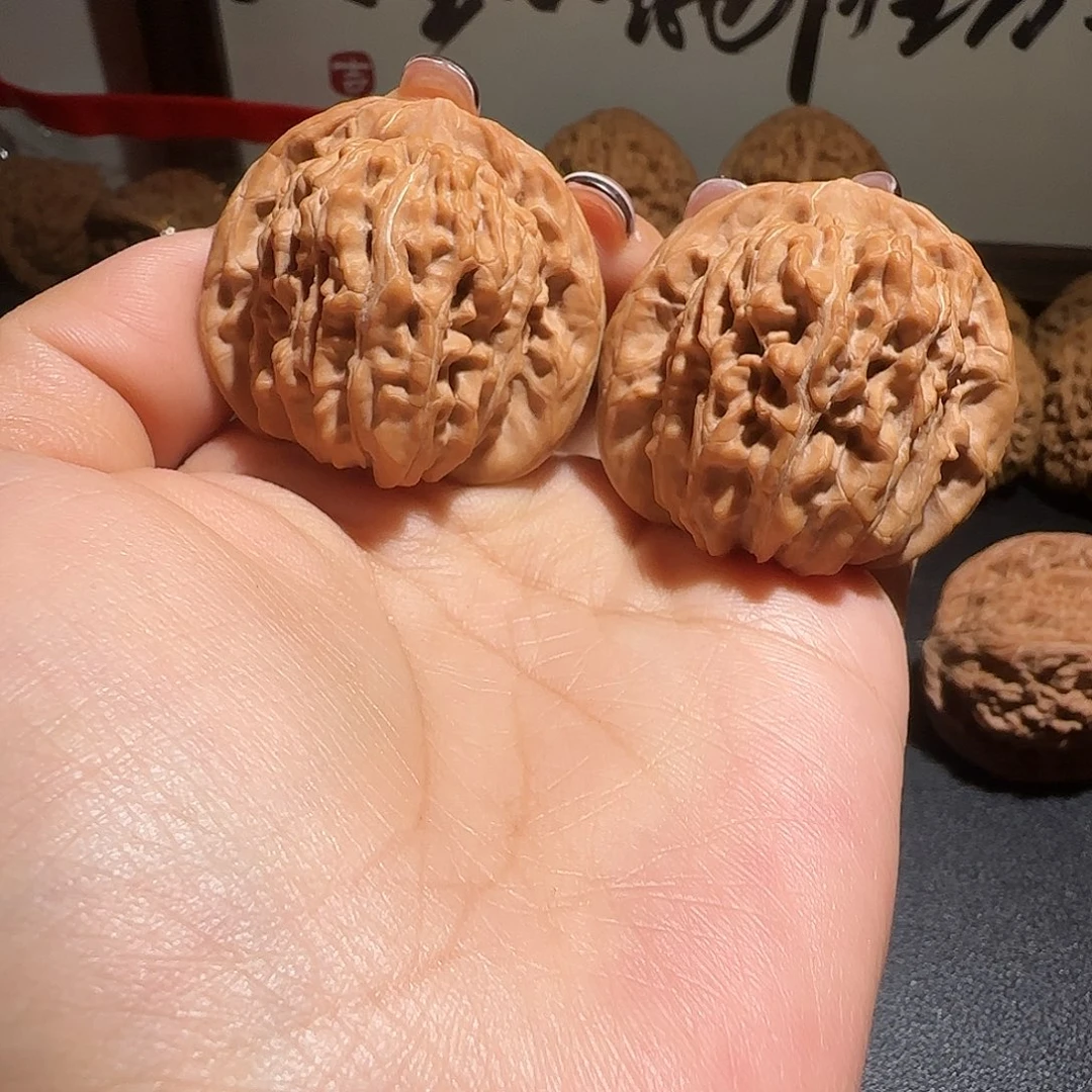 核桃全品无修四座楼