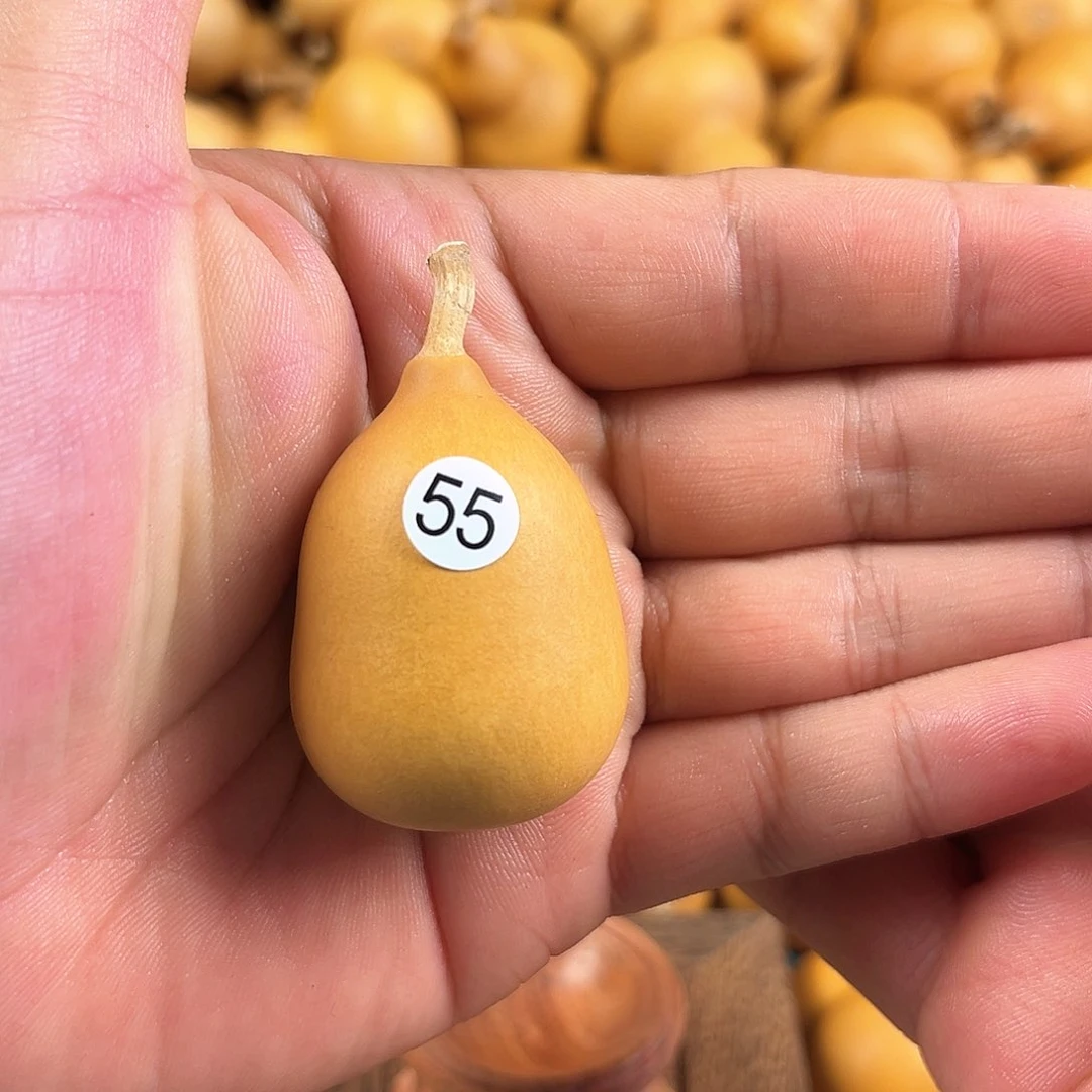 二葫芦葫芦葫芦55