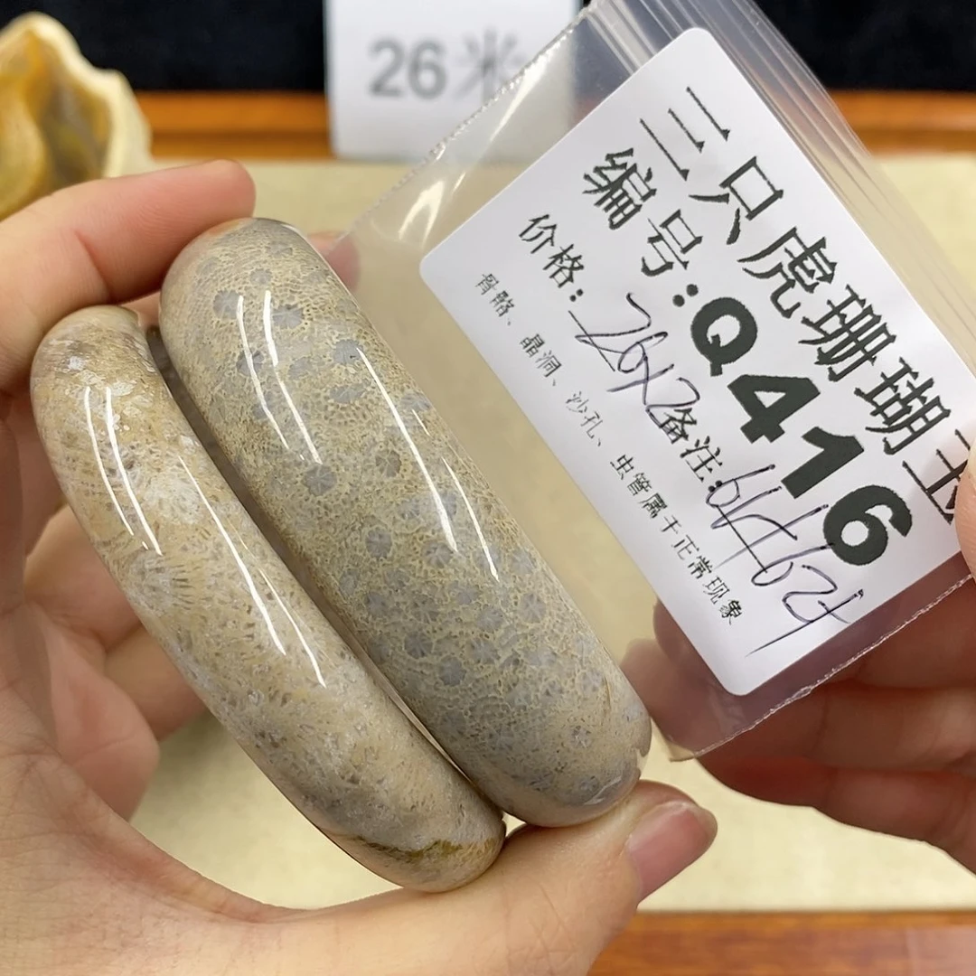 硅化珊瑚（珊瑚玉）1未镶嵌星****︴