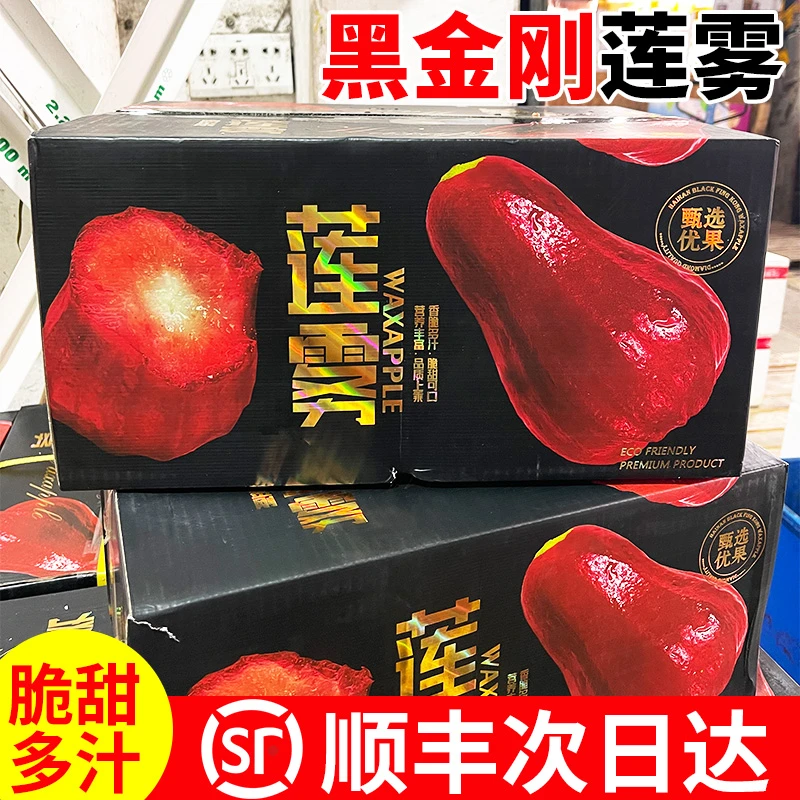 【顺丰送上门】海南黑金刚莲雾净重3斤礼盒装（单果100-140g）新鲜水果莲雾果黑金刚莲雾海南省
