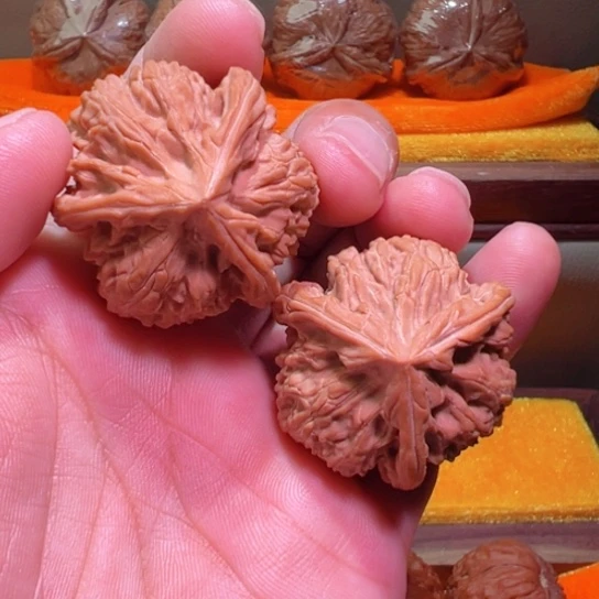 球奔御龙筋全品39边35高