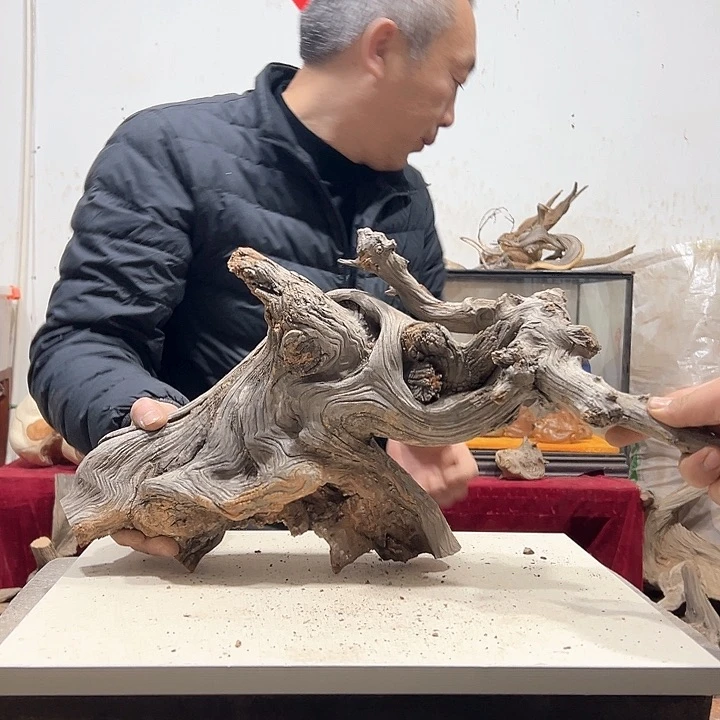 柏木（****工我们的生活也是如此的丰富