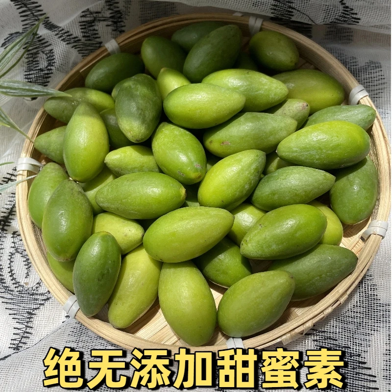 【顺丰快递】新鲜水果当季现摘广东特产正宗青橄榄果非灵峰甜橄榄