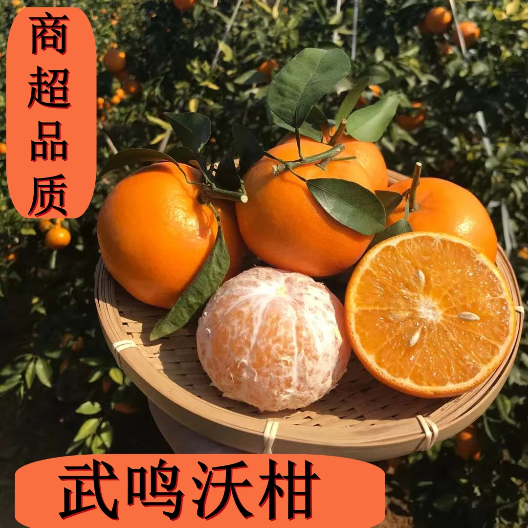 武鸣沃柑 广西新鲜水果沃柑柑橘高甜微酸多汁5斤9斤净重
