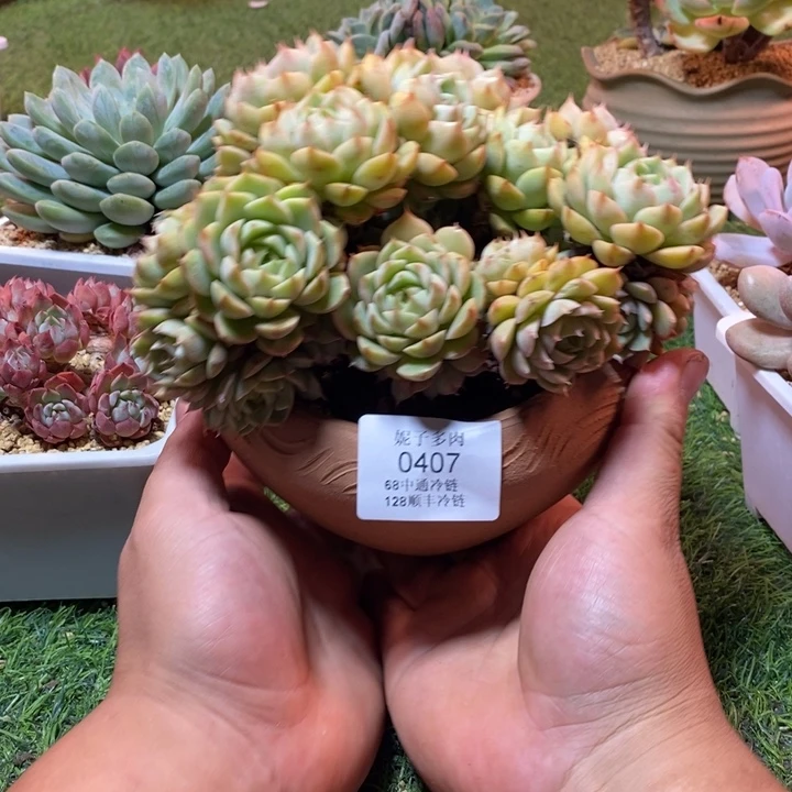 0407啊啊啊啊啊啊啊啊啊啊啊