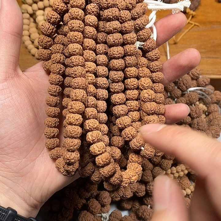 龙脊菩提手串老树王手持