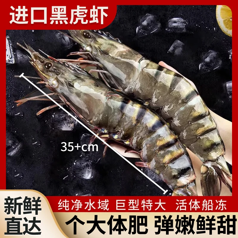 大黑虎虾活虾液氮冷冻保鲜海鲜水产老虎虾特大基围虾竹斑大虾