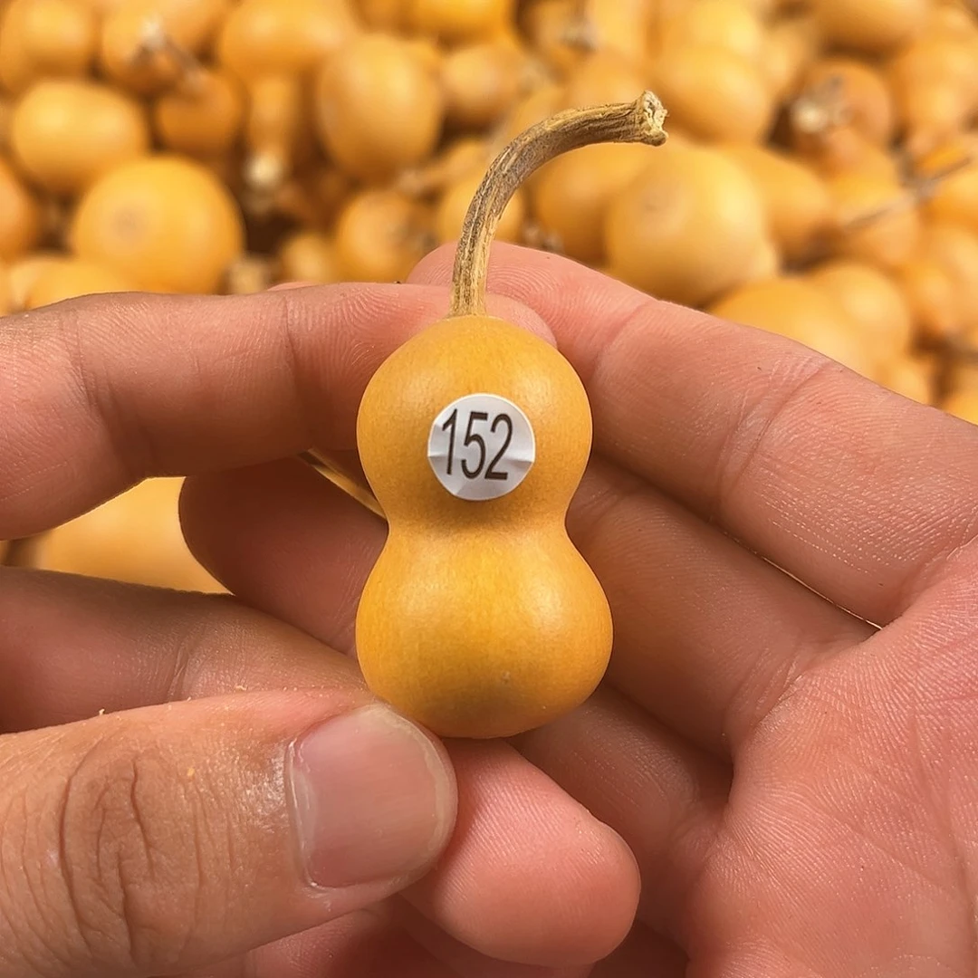 二葫芦葫芦葫芦葫芦152