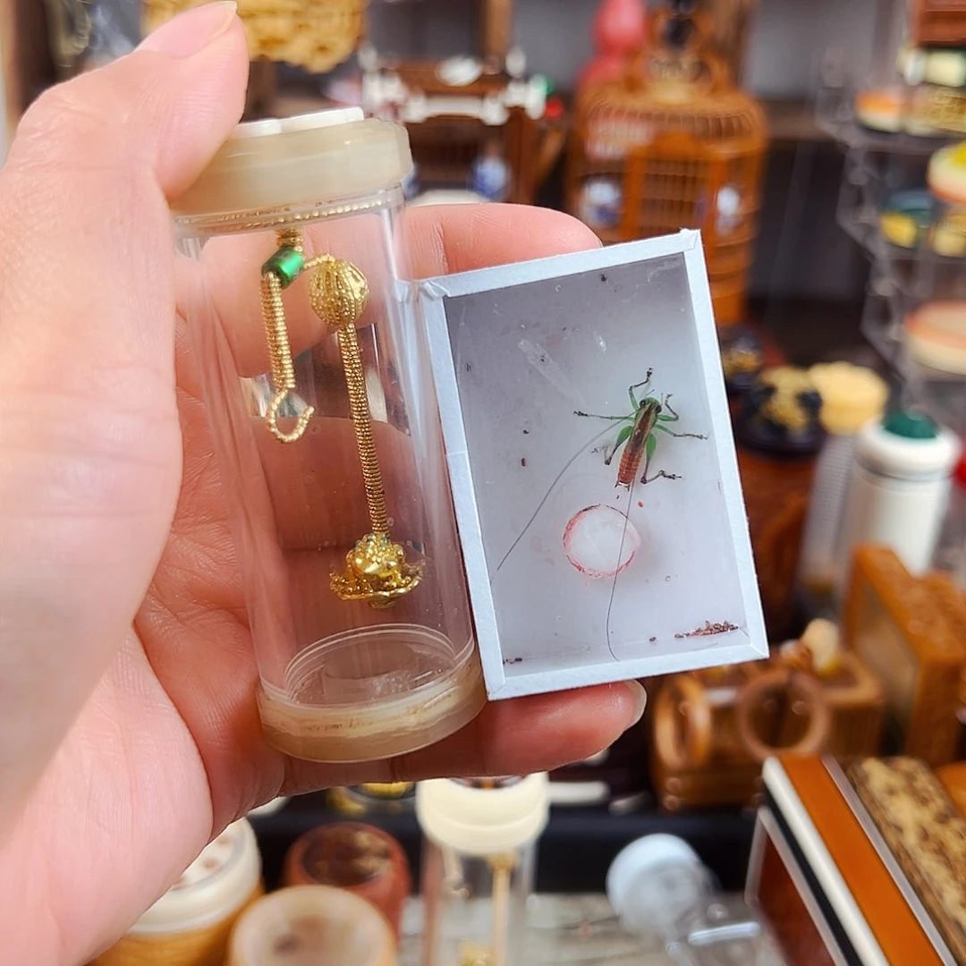 木牛角十二边竹蛉筒➕金蟾攀爬簧➕糖果