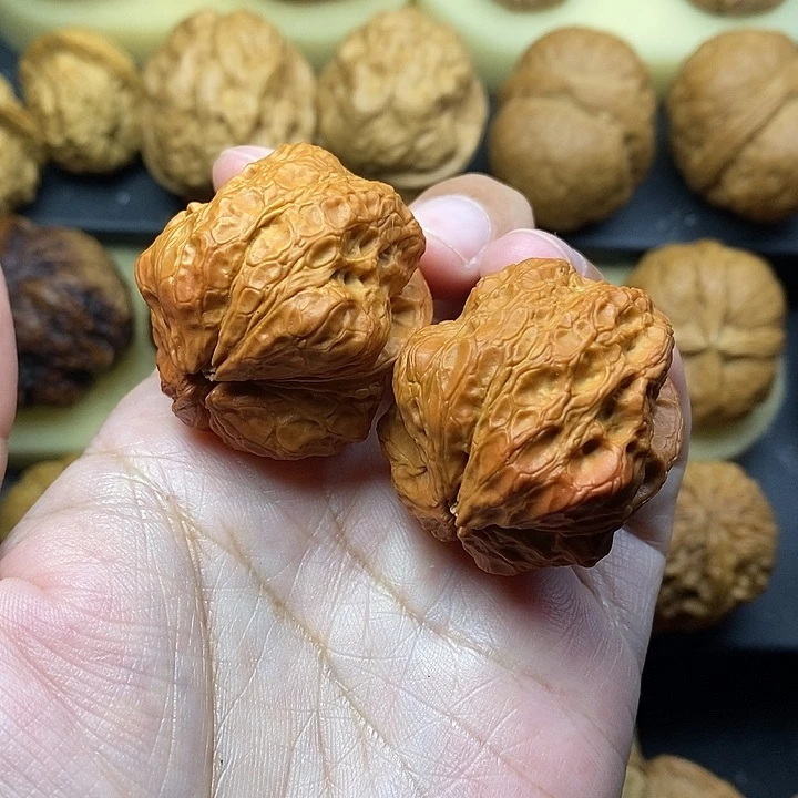 吊坠桃核箭毒蛙36尺