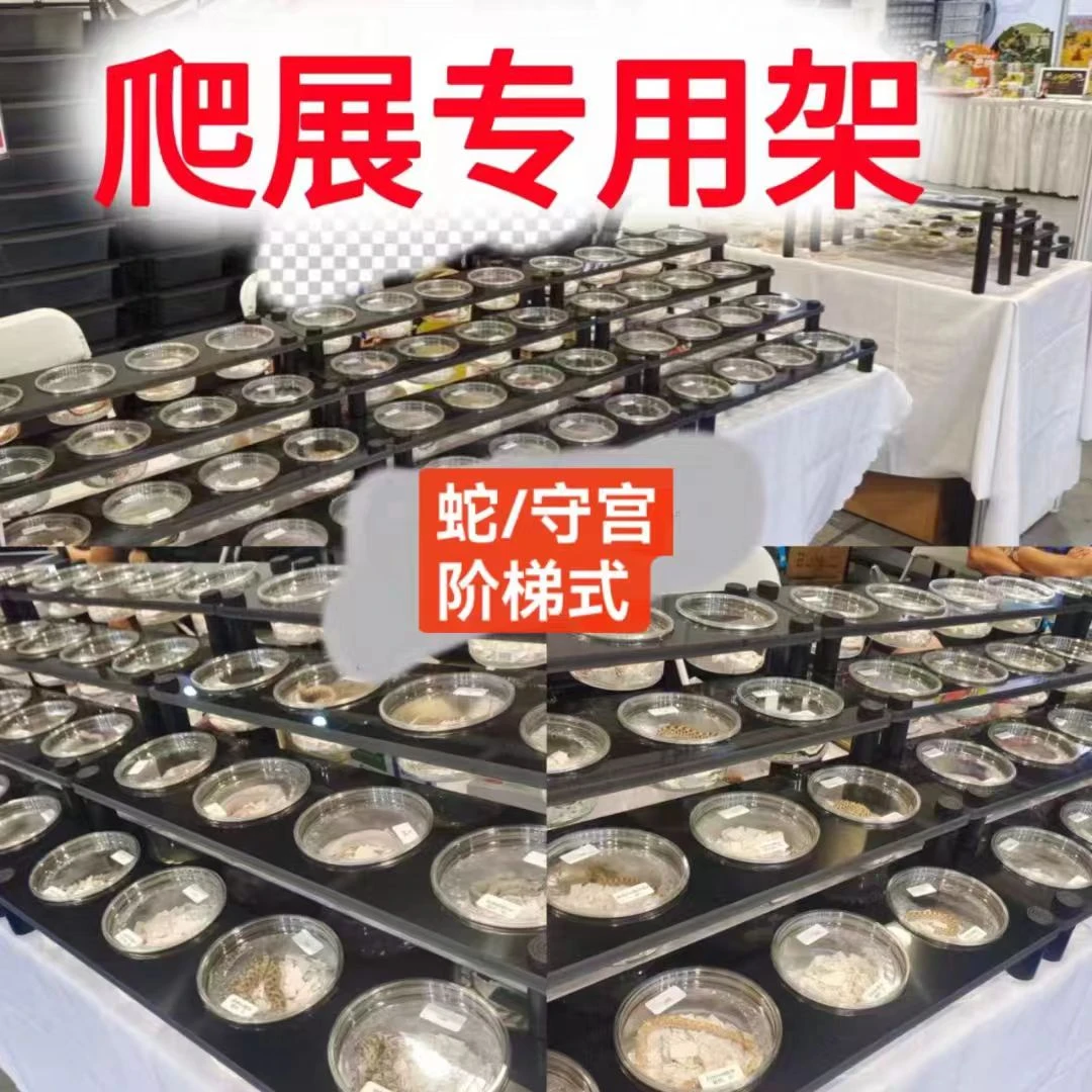 爬宠展示架爬展专用架16位32位