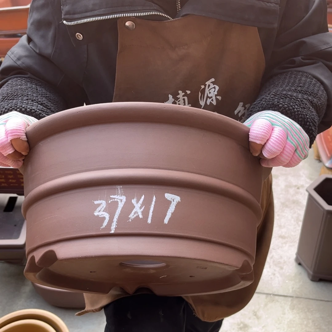 花盆紫砂盆景艺术