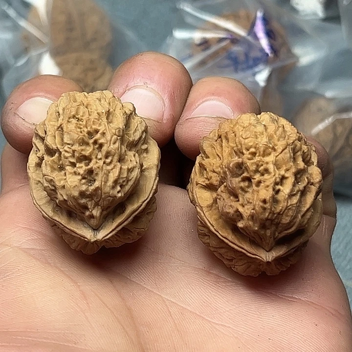 核桃57号狂龙36尺