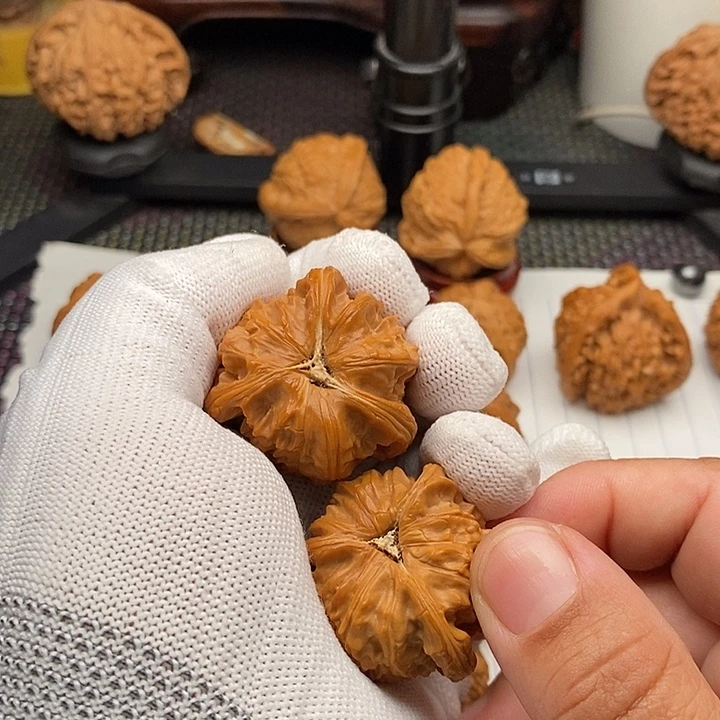 手串/手链核桃拼接白狮4