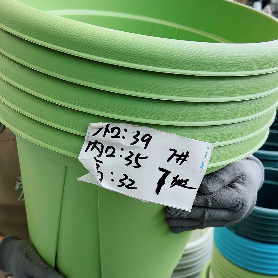 青山盆7#果绿色5个无托