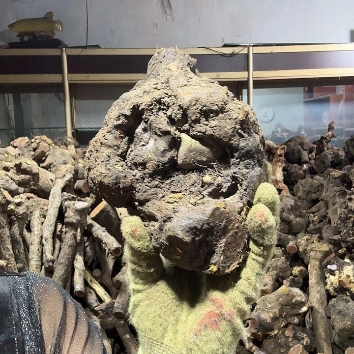 逍***遊香榧木火琉璃的故事是一场