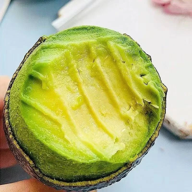 【秘鲁进口牛油果】当季新鲜哈斯牛油果高营养低糖宝宝辅食lgg2