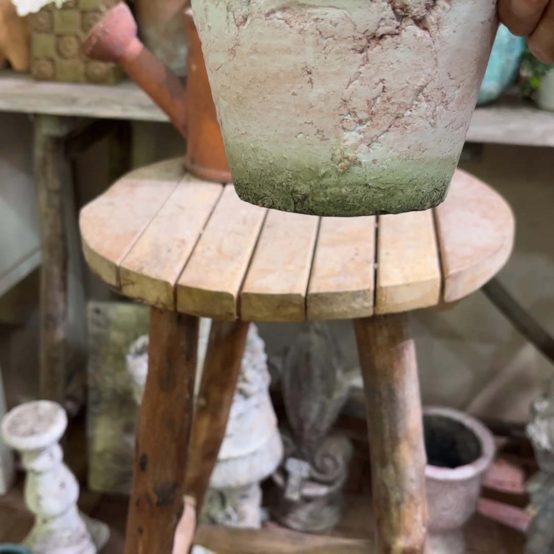 许纯的花房 孤品270