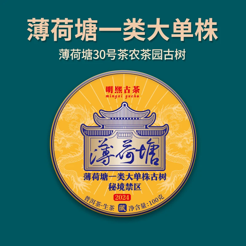 【明熙古茶】（1111）2024年头春薄荷塘大单株古树普洱生茶100克/饼