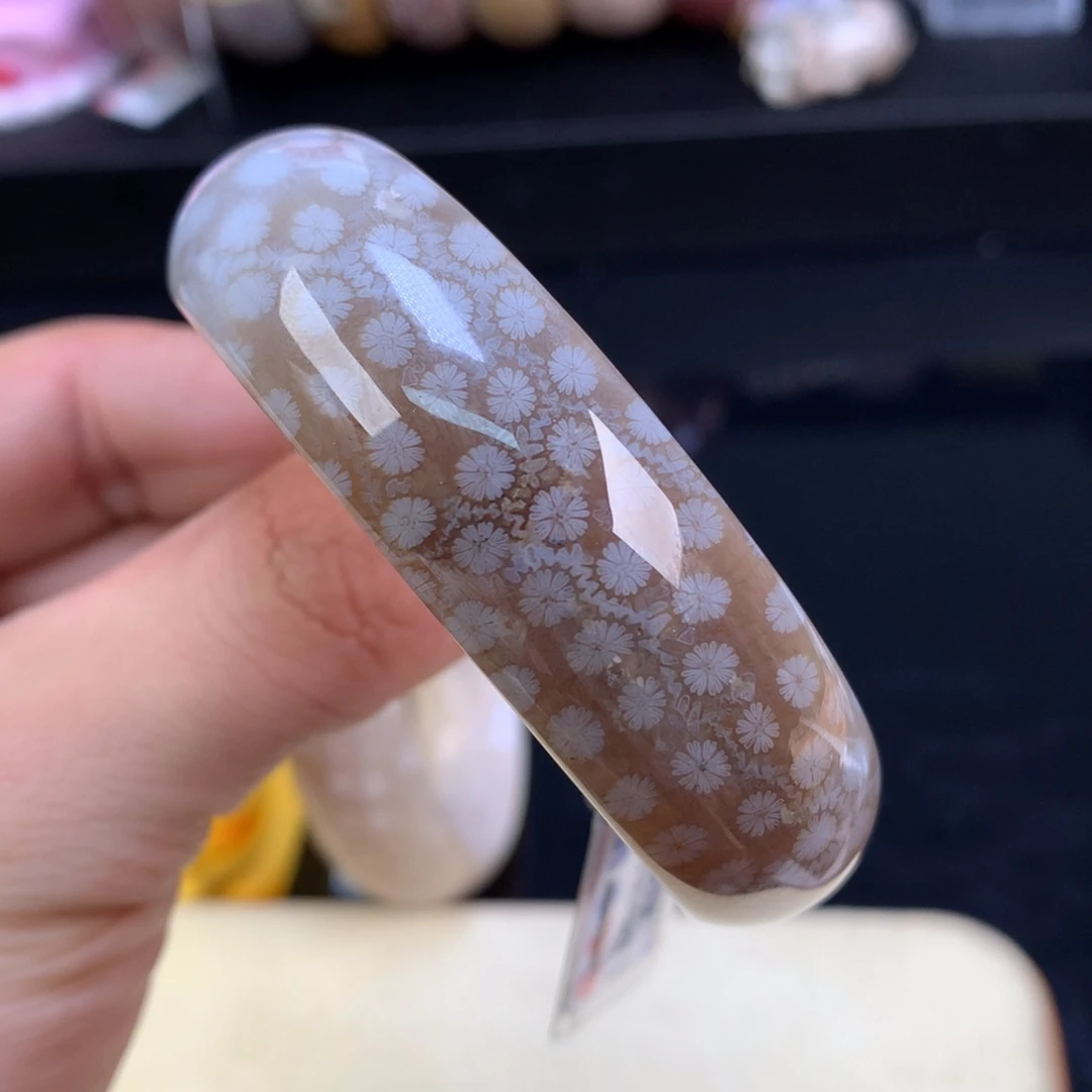 硅化珊瑚（珊瑚玉）未镶嵌颈饰107号黑咖冰雏菊55圈