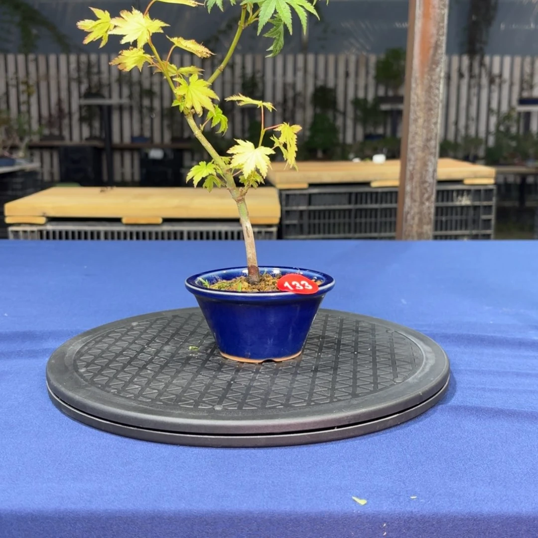 俞*大棚转让133号包邮