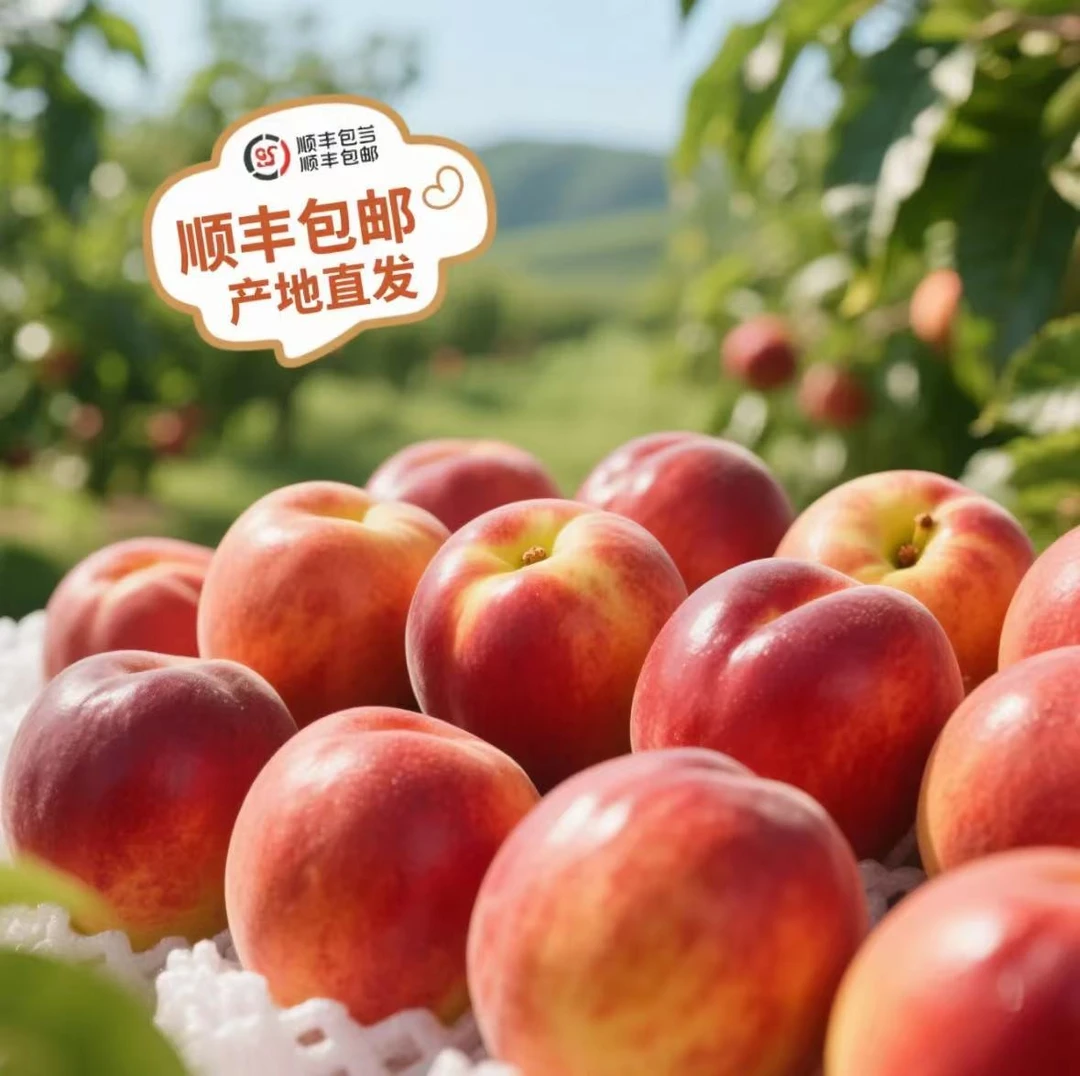 【精美礼盒】四川五指山黄油桃时令新鲜绿色无农残顺丰包邮