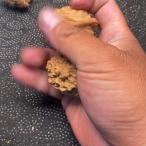 文玩核桃把件官帽5.5