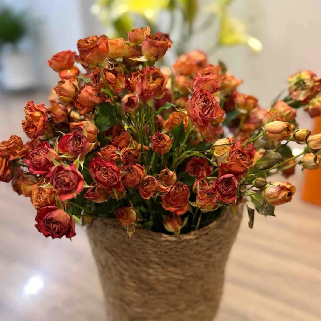 天然植物干花花束单头玫瑰多头泡泡组合可任意搭配居家装饰送礼