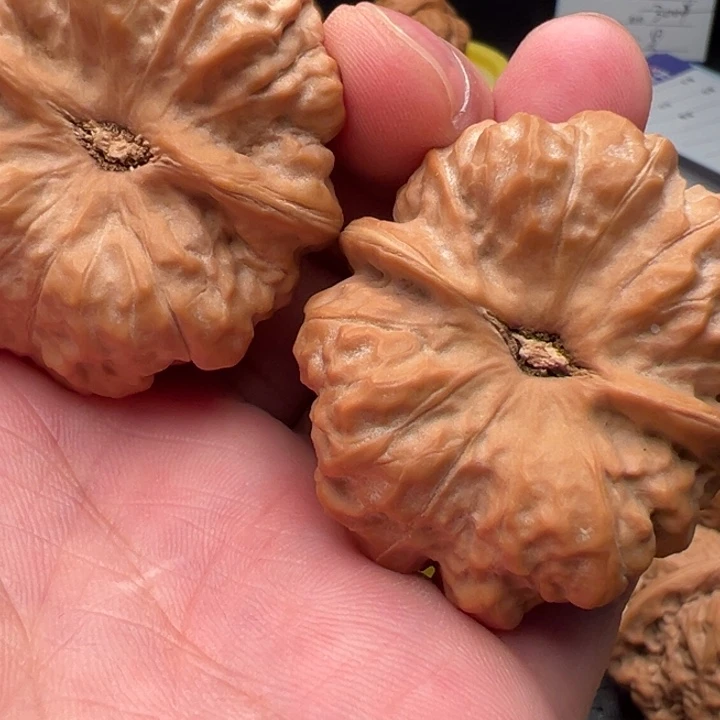 开***生核桃文玩核桃文玩核桃