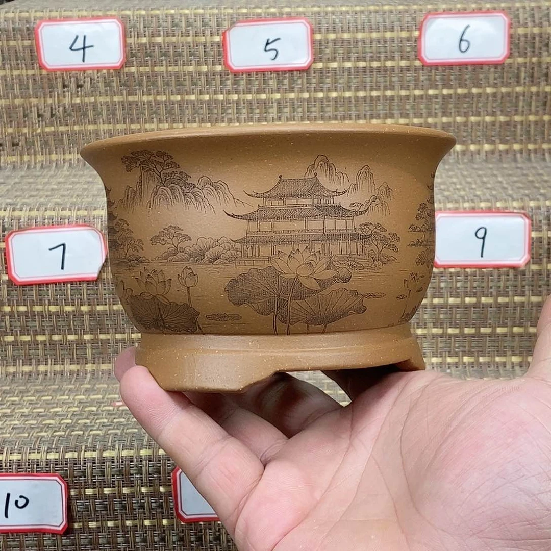 紫砂花盆我在等他