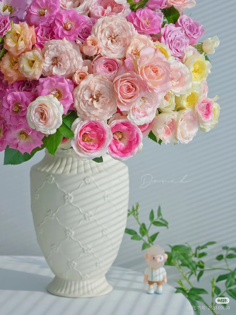 楠桐稀有多头红玫瑰10支 两单包邮