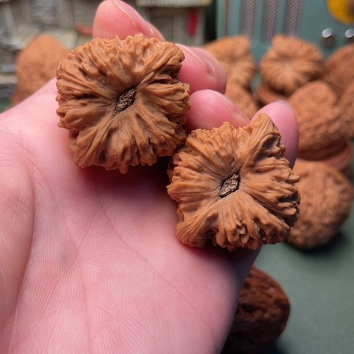 凹底大魔眼南将石