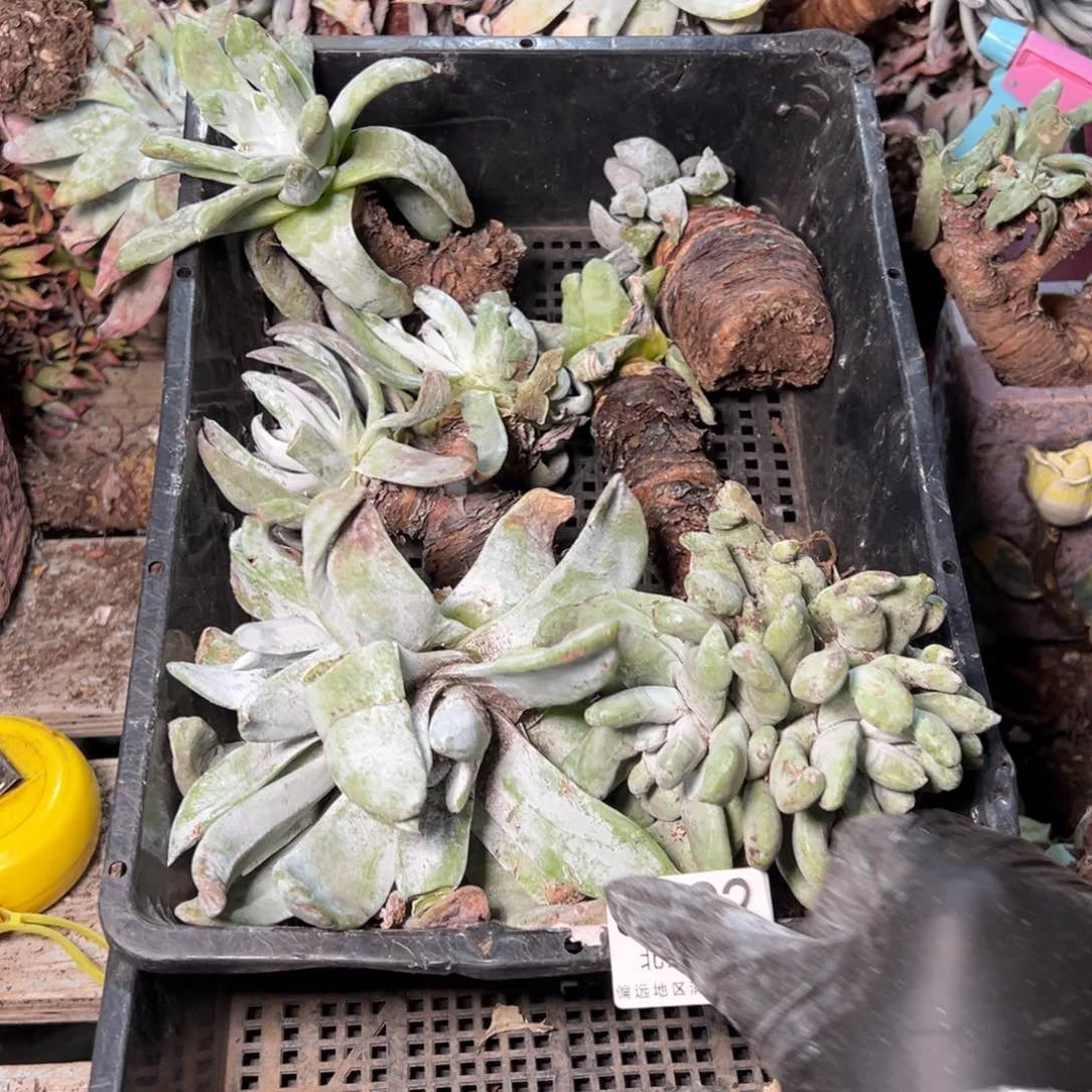 8992哈哈哈哈哈哈哈哈