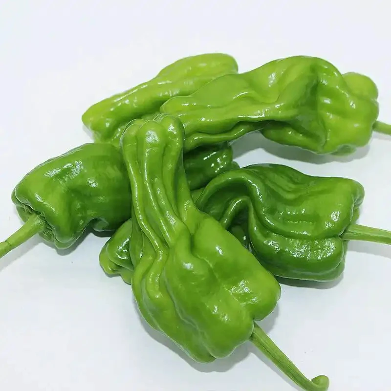 绿色泡椒（皮薄微辣）250g