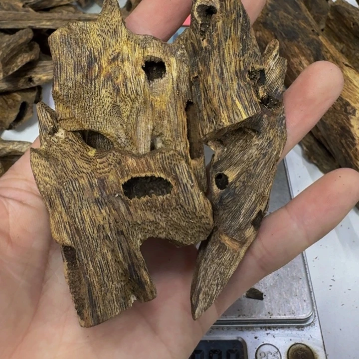 沉香沉香碎屑金沙叶