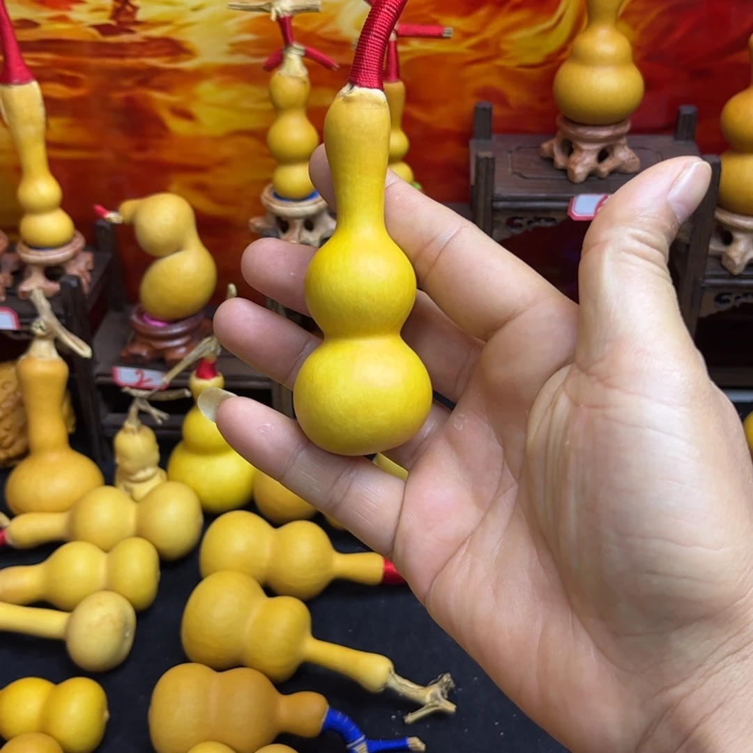 天****葫芦等各种各样品种