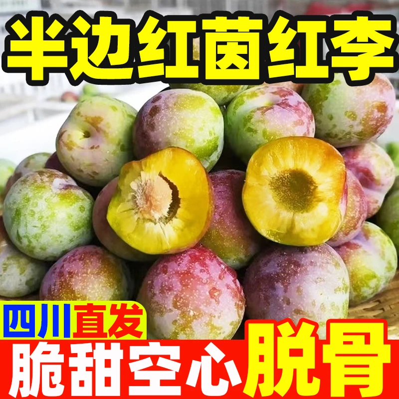正宗四川半边红茵红李脱骨李新鲜应季水果脆甜多汁