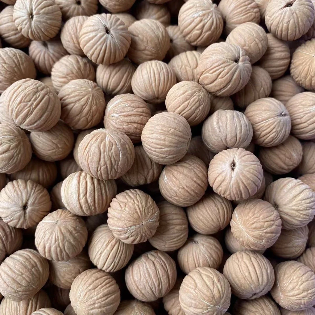 猴头核桃-矮桩土豪散籽-原皮原色精挑全品-送打孔（需备注）