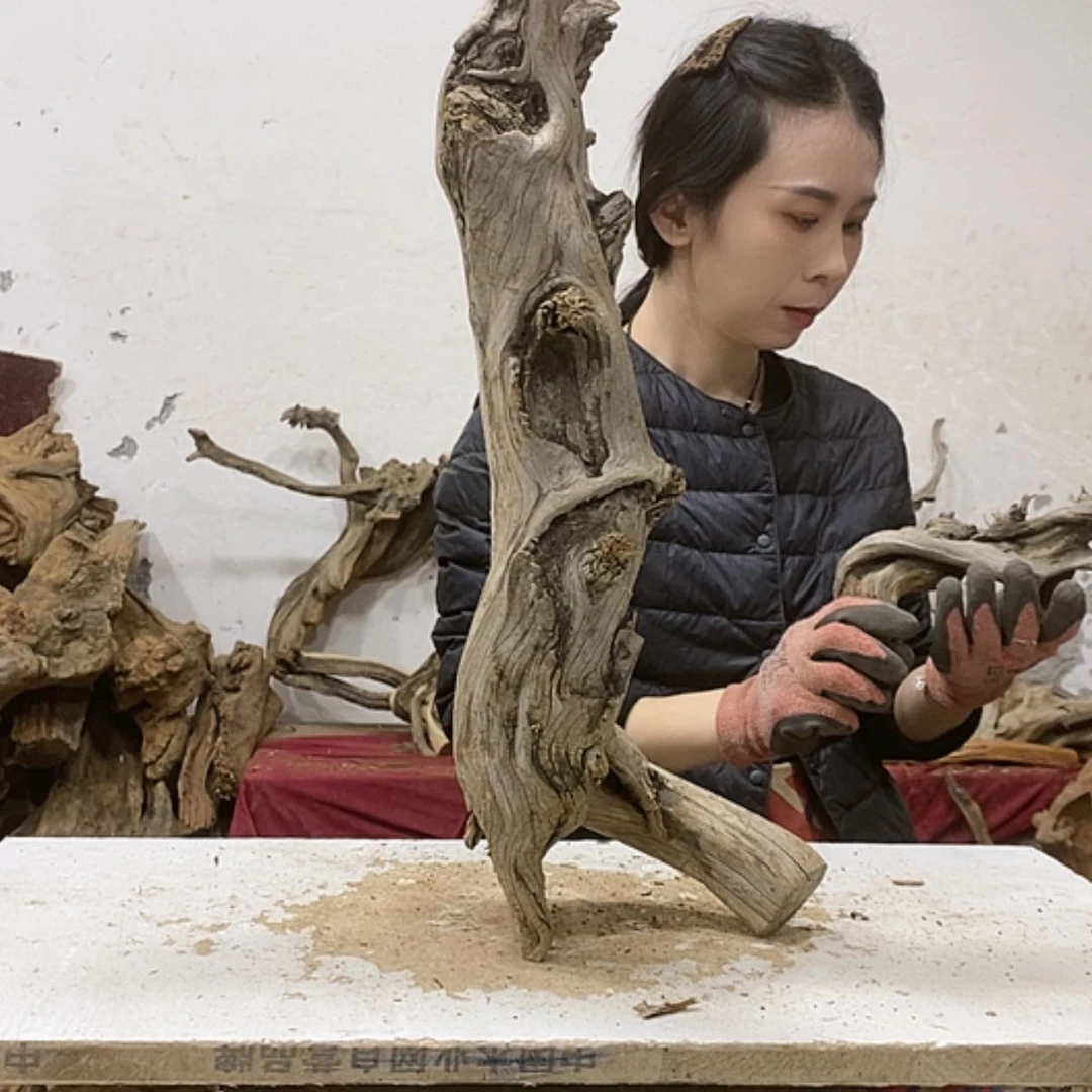 【闪购商品】柏木紫**海我们都是好孩子