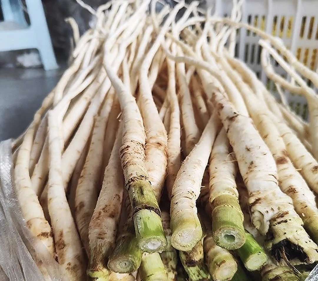 云南新鲜茴香根煲汤食材现挖现发