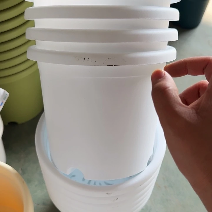 瑕疵3#白色10个无托