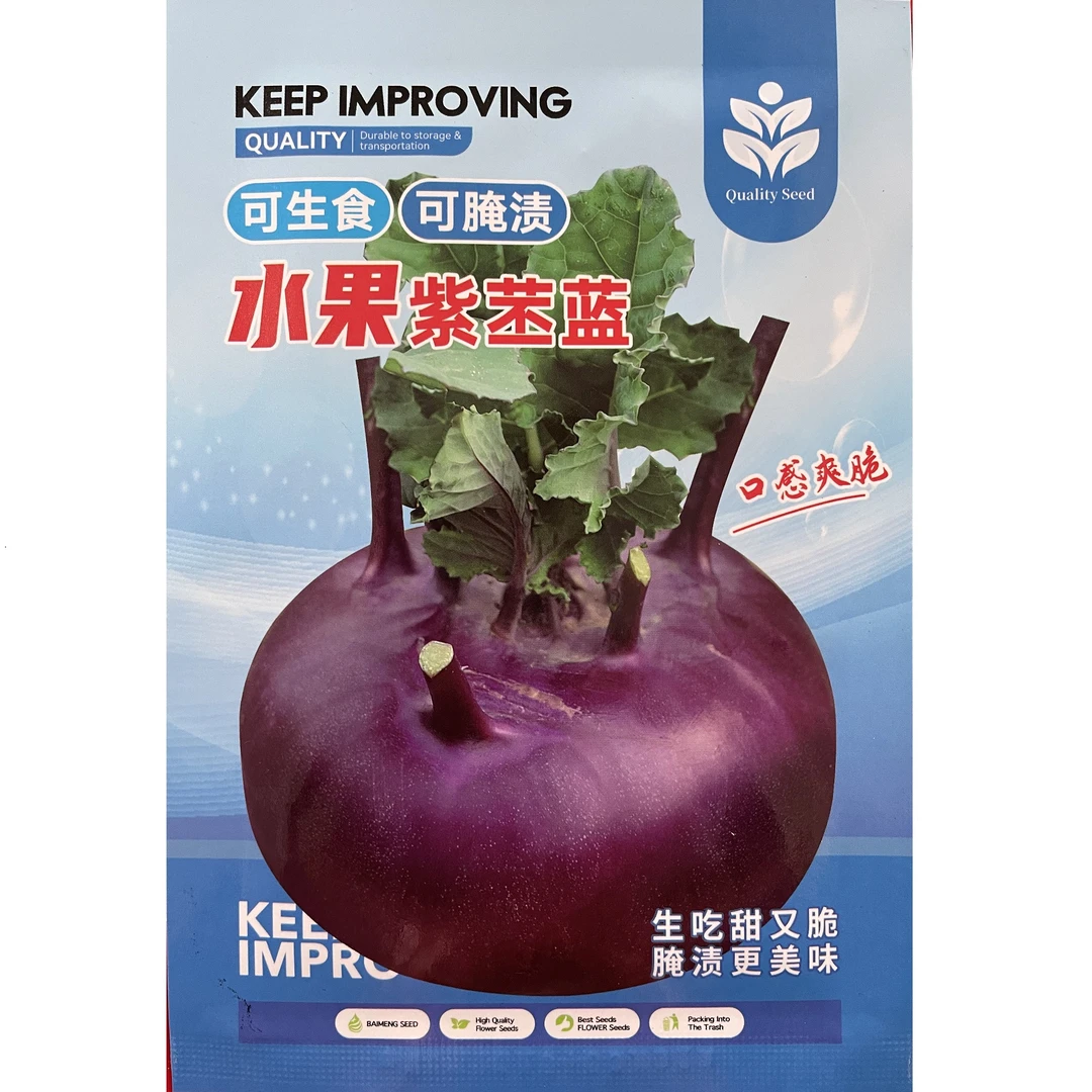 正宗紫色苤蓝种子春秋苤蓝菜种子水果球茎苤蓝四季菜园花盆易种植