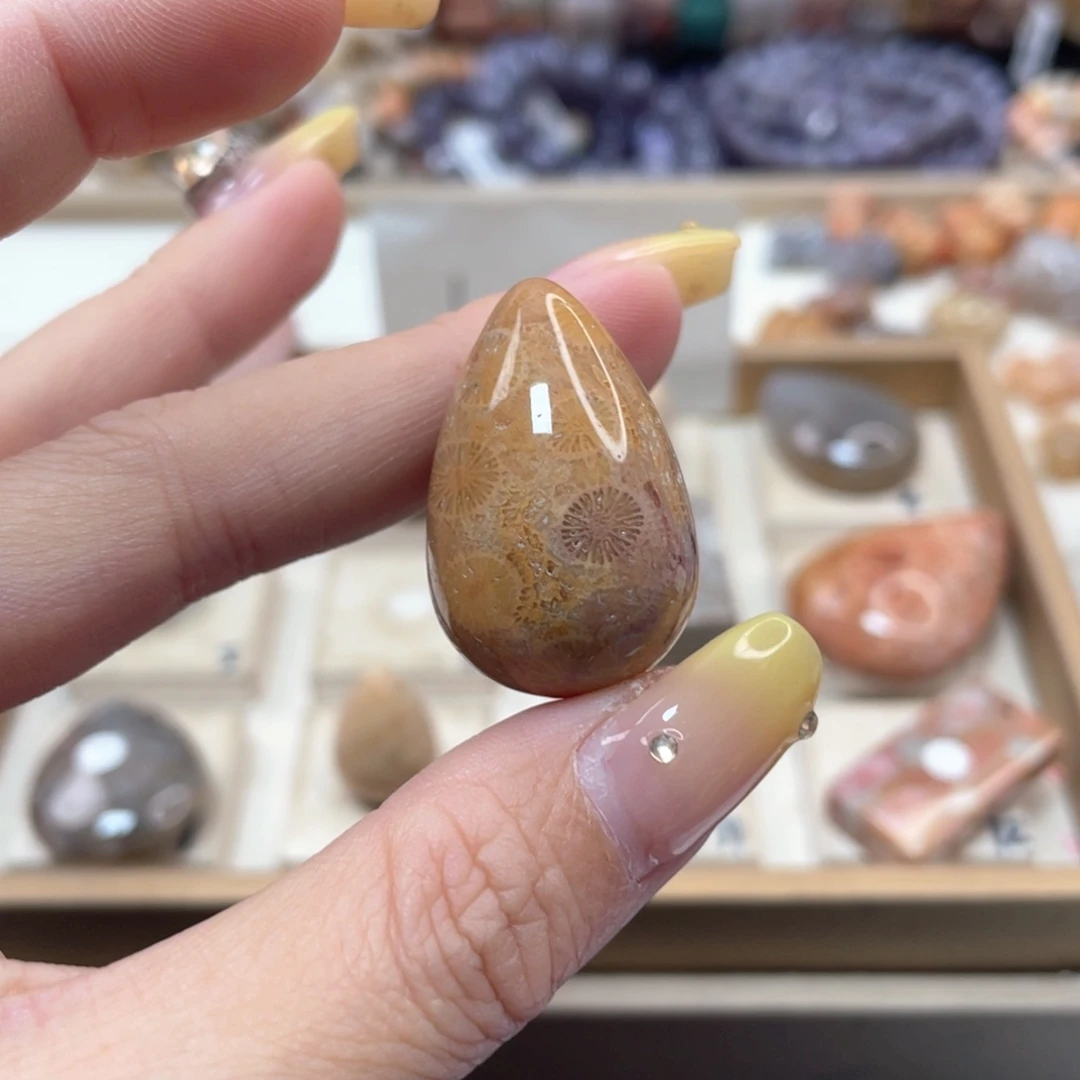 未镶嵌手链硅化珊瑚（珊瑚玉）莫*235