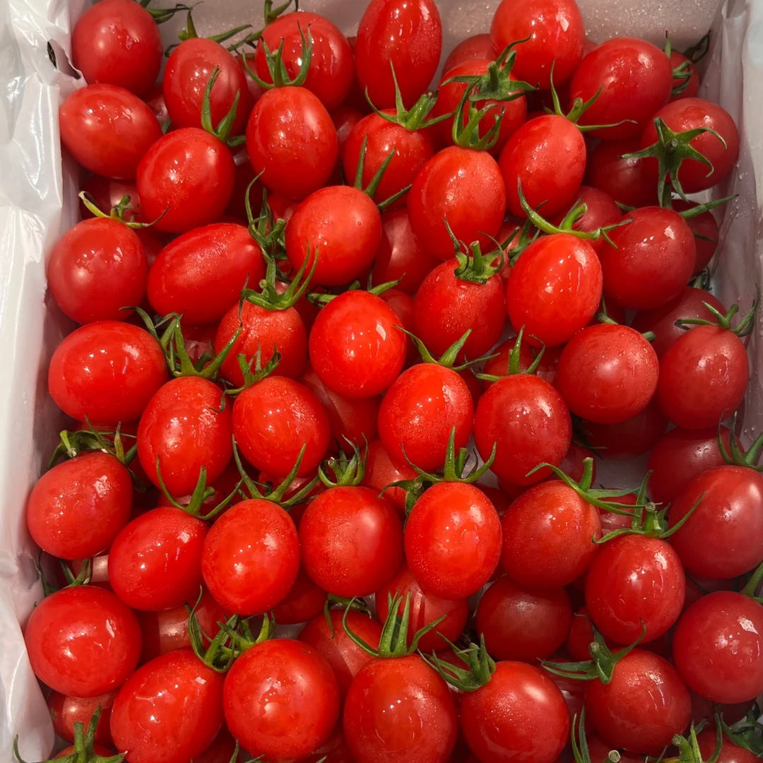 【果小姐】沙地小番茄冰糖千禧29.8元一盒番茄同城配